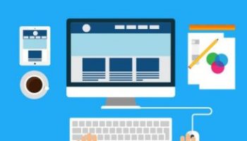 web developer resume