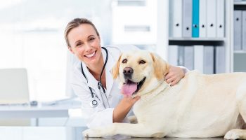 veterinarian posing with a dog