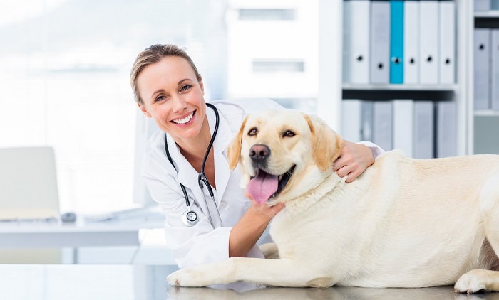 veterinarian posing with a dog